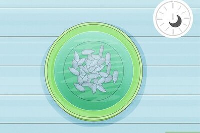 How to Sprout Sunflower Seeds