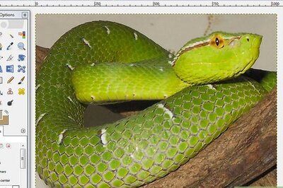 How to Use the Gimp Eraser Tool to Remove an Image Background