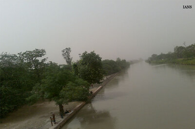 'India ranks 10th in world in plant diversity'