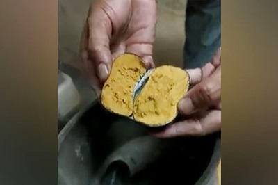 Telangana: Concealed in Man's Rectum, Custom Officials Seize Gold Worth Rs 42 Lakh | On Cam