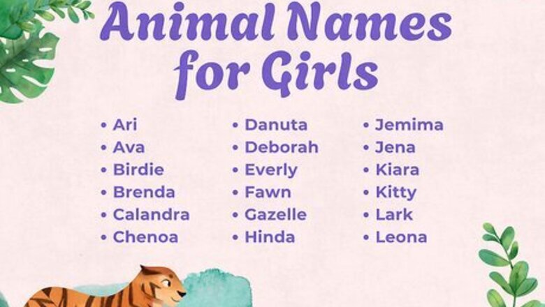 105+ Cute & Unique Animal Names (with Meanings)