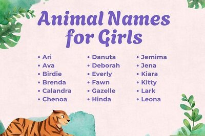 105+ Cute & Unique Animal Names (with Meanings)