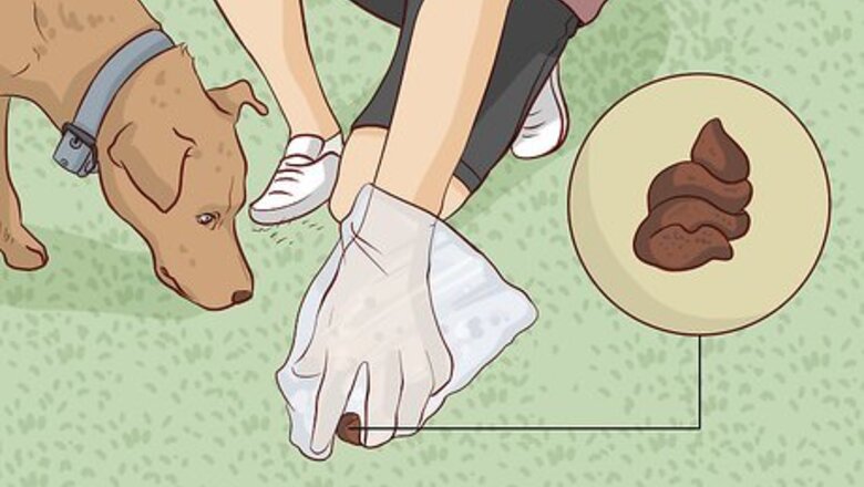 How to Prevent Red Tide