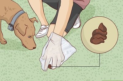 How to Prevent Red Tide