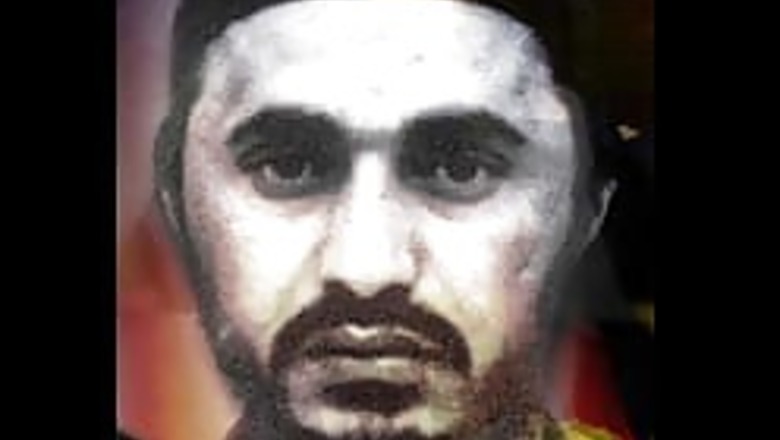 Iran's happy to see al-Zarqawi dead