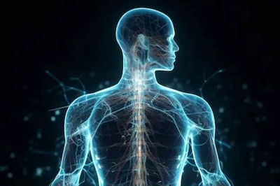 How High A Human Body's Temperature Can Go