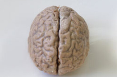 Scientist discover intelligence gene