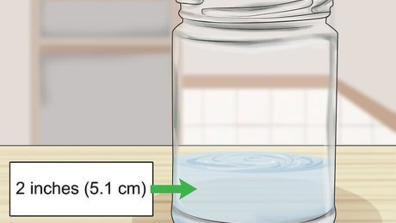 How to Store Scallions