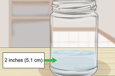 How to Store Scallions