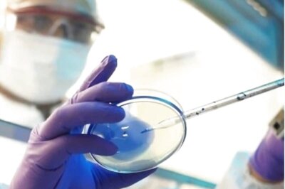 Forced to Clean Fridge Amid Black Fungus Fears? Onions Giving You Nightmares? Myths Busted