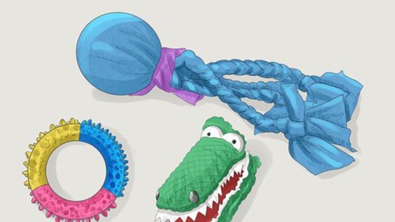 How to Buy Dog Toys