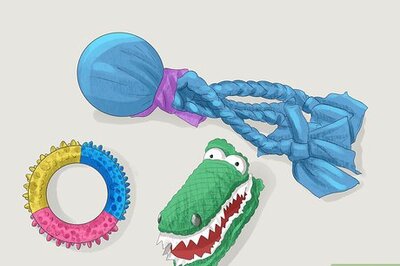 How to Buy Dog Toys