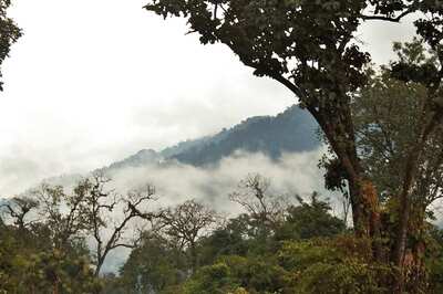 Explore The Lesser Known Gem Of Arunachal Pradesh, The Namdapha National Park