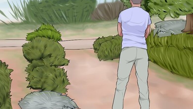 How to Design a Desert Garden