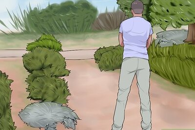 How to Design a Desert Garden