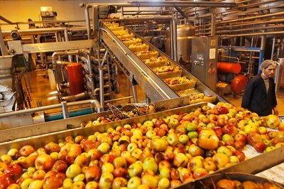India's Decision to Increase Tariff on Apples to Hit US Growers, Say Congressmen