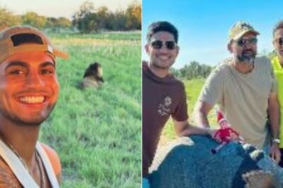 Shubman Gill, Rahul Dravid & Other Coaches Go for Wildlife Safari Ahead of Boxing Day Tests - See Photos