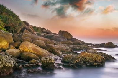 Munnar To Wayanad, 6 Must-visit Places In Kerala To Reconnect With Nature