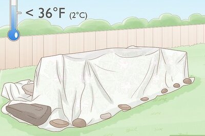 How to Cover Plants in the Winter