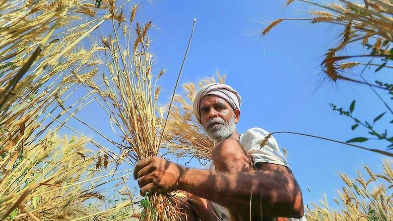 Angry Farmers Dump Vegetables at Gate of Mantralaya in Maharashtra