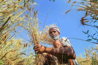 Angry Farmers Dump Vegetables at Gate of Mantralaya in Maharashtra