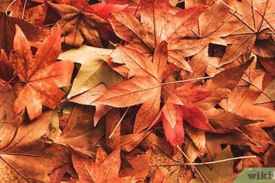 How to Paint Leaves