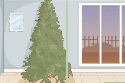 How to Buy an Artificial Christmas Tree