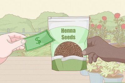 How to Grow Henna