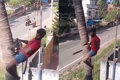 ‘Experience Always Greater Than PhD’: Internet Lauds Man Who Chopped Tree In One Go