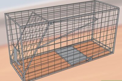 How to Catch a Peacock