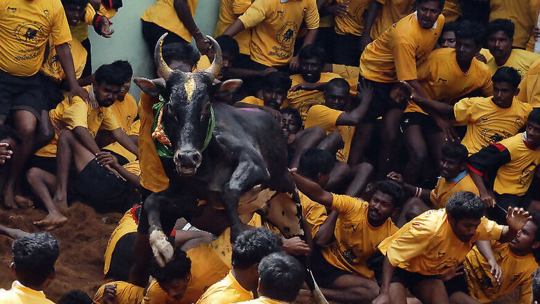 36 Men Injured in Jallikattu Event in Madurai's Avaniapuram