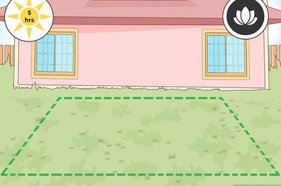 How to Make a Backyard Fish Pond