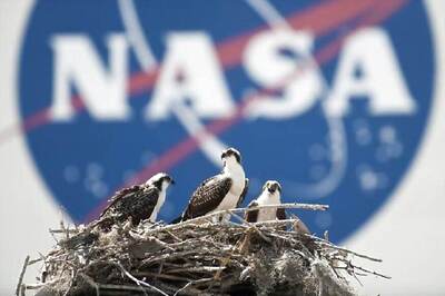 First Probe to 'Touch' The Sun Will Carry 1.1 Million Names: NASA