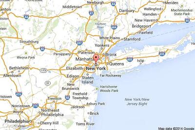 US: Dog takes owner's car for a ride, crashes it