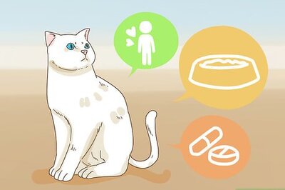 How to Leave Your Pets Alone While on Vacation