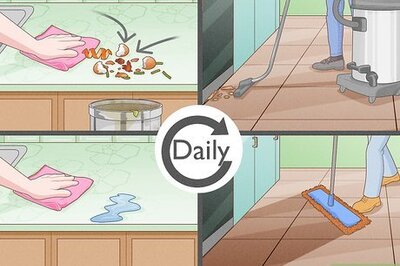 How to Get Rid of Ants in the House