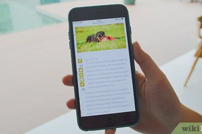 How to Stop Puppy Biting