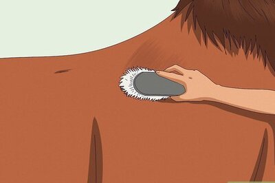 How to Show Your Horse That You Love Him