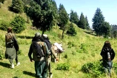 Pak vs Taliban? TTP Raises Funds for Jihad against State, May Break Ceasefire With Army | Exclusive