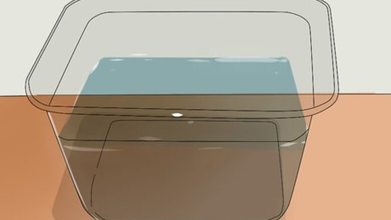 How to Raise a Toad