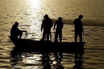 31 Tamil Nadu fishermen arrested by Sri Lankan Navy