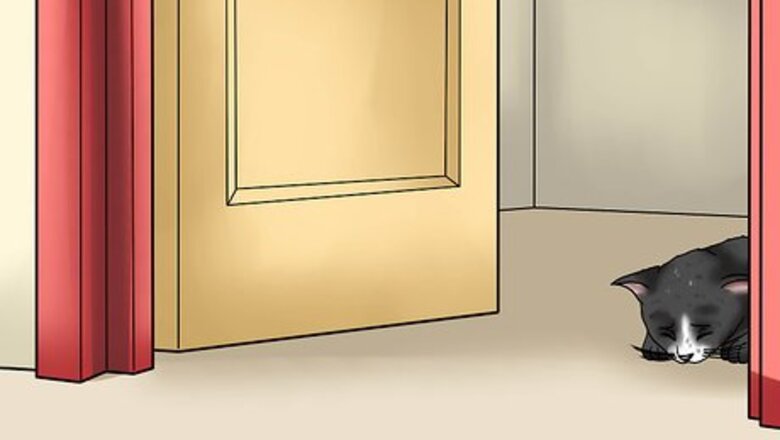 How to Treat Thunderstorm Anxiety in Cats