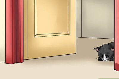 How to Treat Thunderstorm Anxiety in Cats