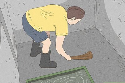 How to Show Your Pigs