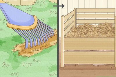 How to Add Nitrogen to Compost