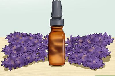 How to Calm Your Cat with Aromatherapy