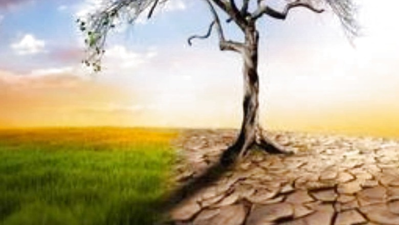 COP27: Learn Significance of the Climate Conference to its Agenda and History in #ClassesWithNews18
