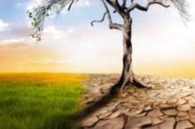 COP27: Learn Significance of the Climate Conference to its Agenda and History in #ClassesWithNews18