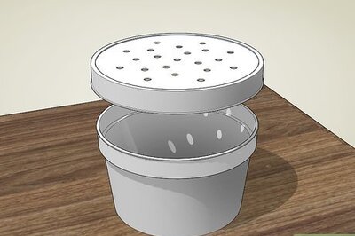 How to Raise Privet Hawk Moths