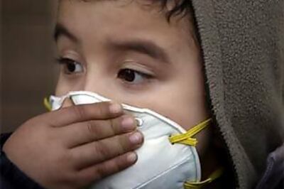 Swine flu named 2009's most politically incorrect word
